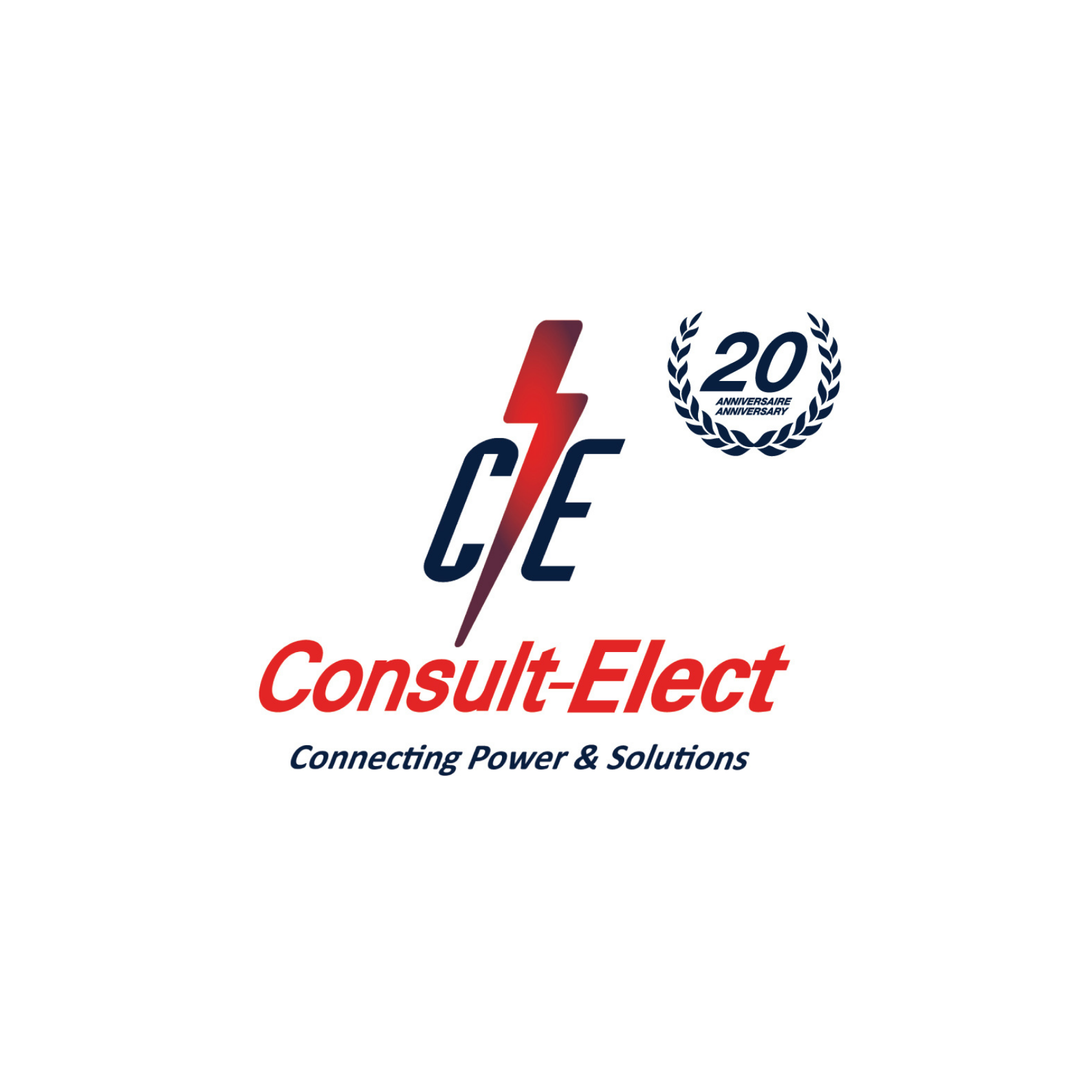 CONSULT ELECT : 