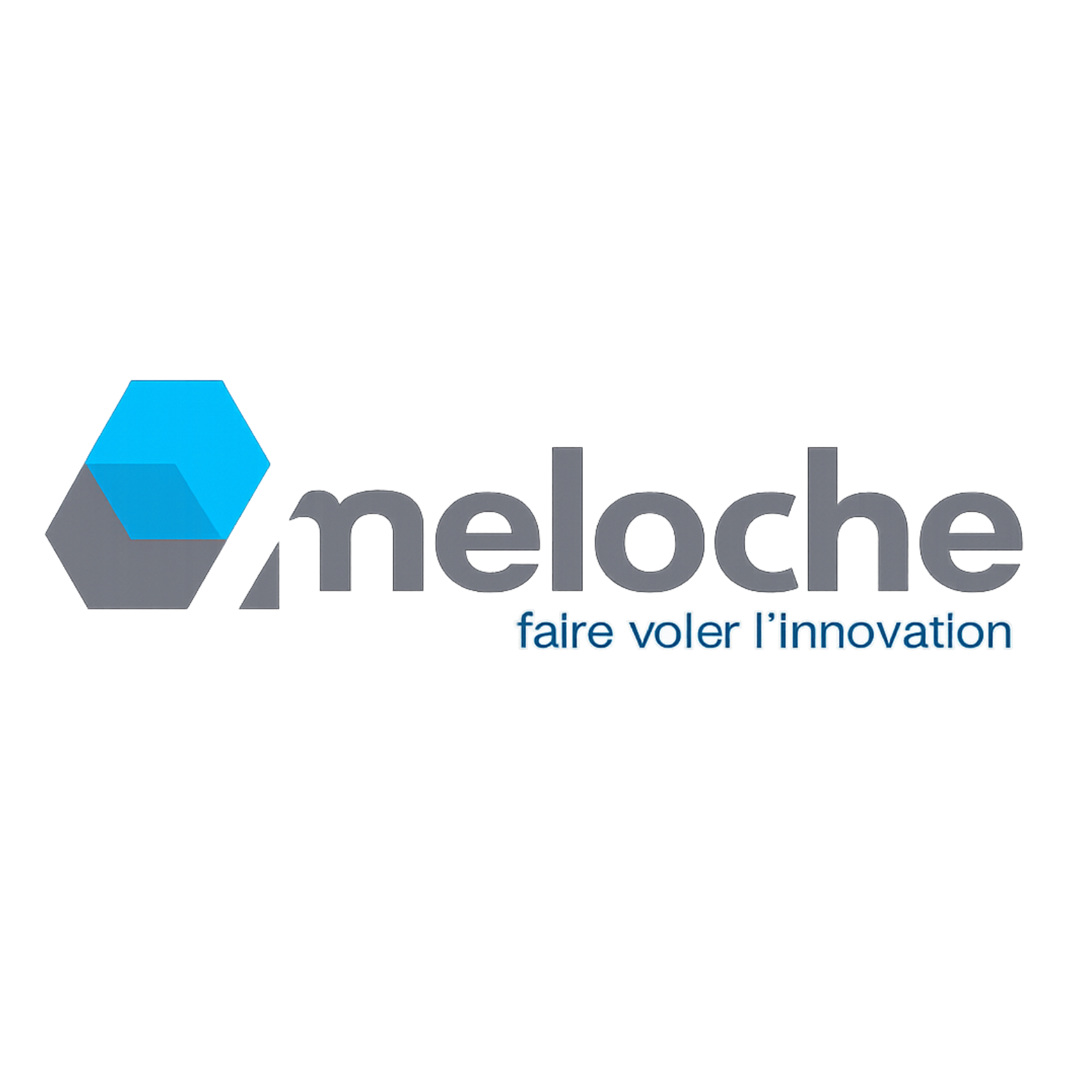 meloche : Brand Short Description Type Here.